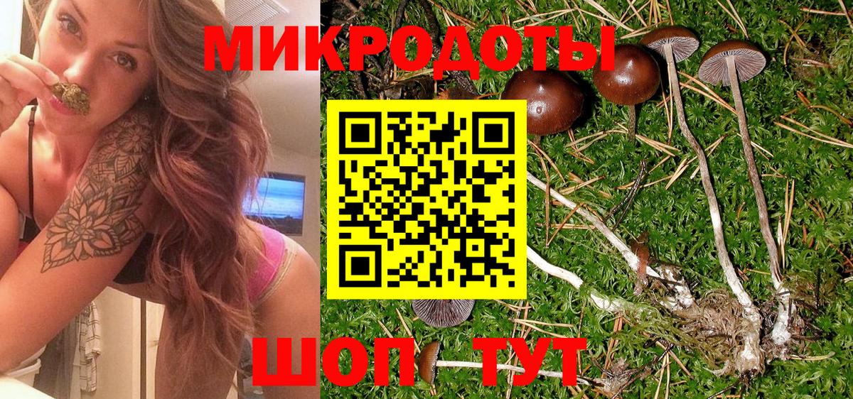 Добрянка  Псилоцибиновые грибы мицелий  где купить наркоту  Вход с VPN 