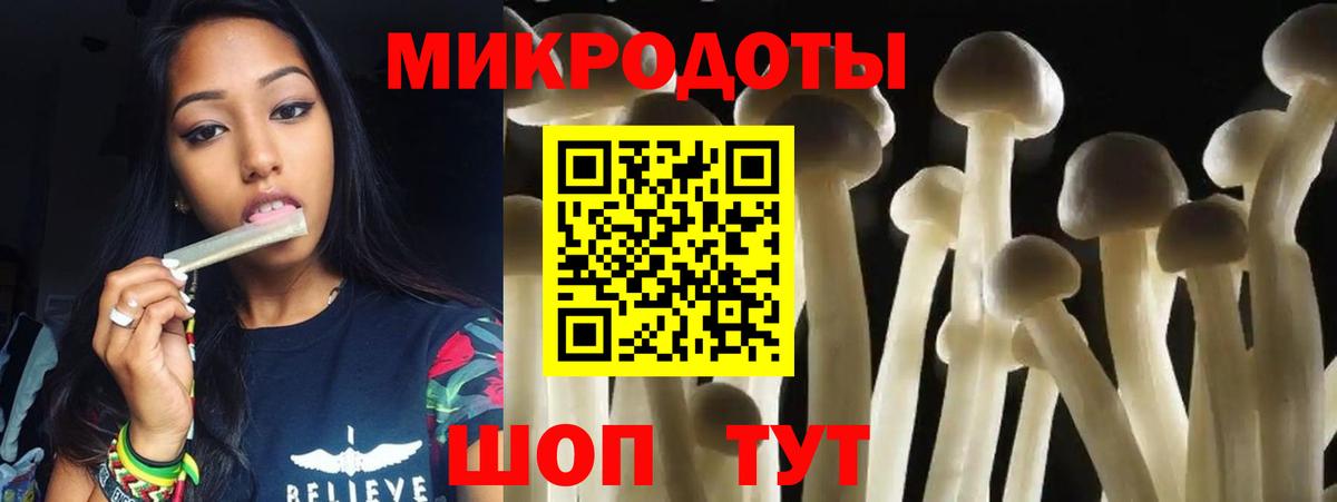 Галлюциногенные грибы Psilocybine cubensis Добрянка